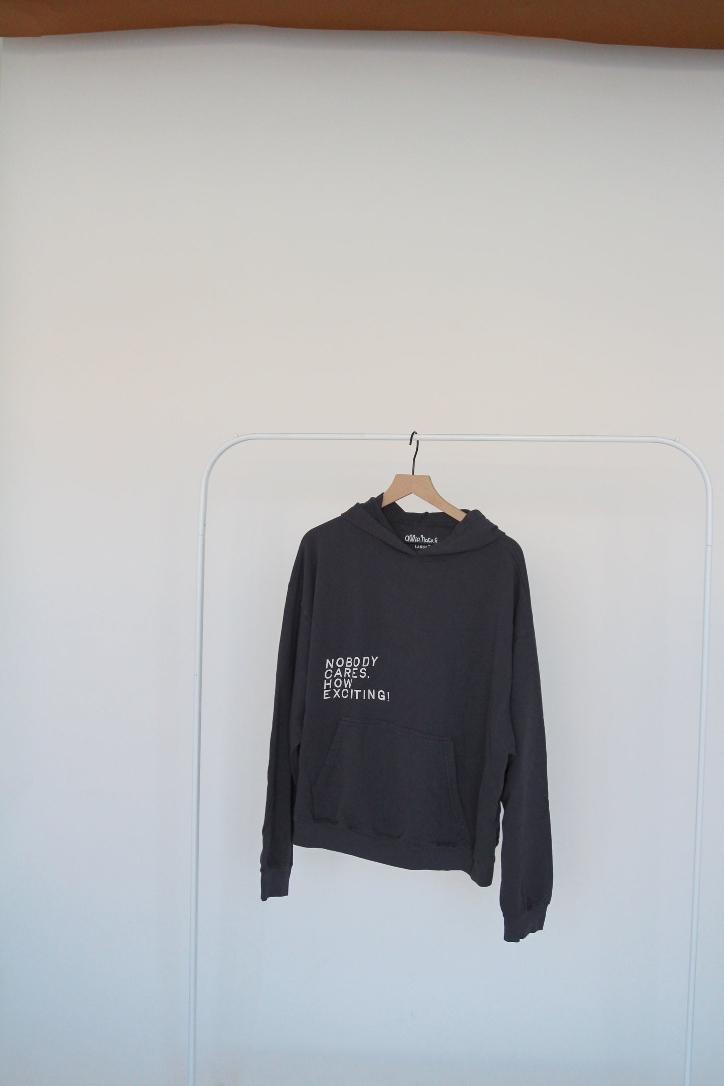 Nobody Cares, How Exciting! Lightweight Hoodie