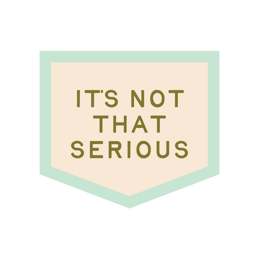 It's Not That Serious Felt Pennant Flag