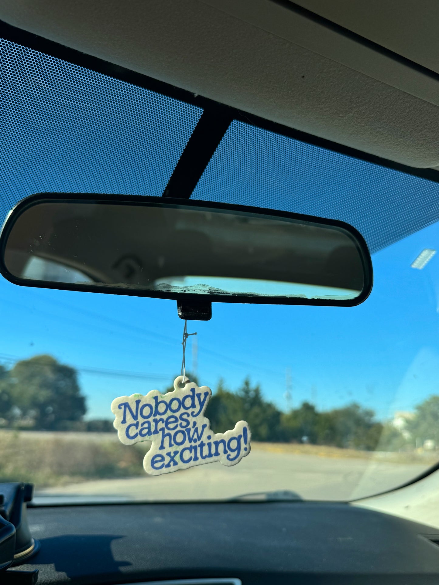 Nobody Cares, How Exciting! Air Freshener